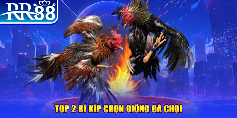 go88vn casino TỶ LỆ BÓNG ĐÁ