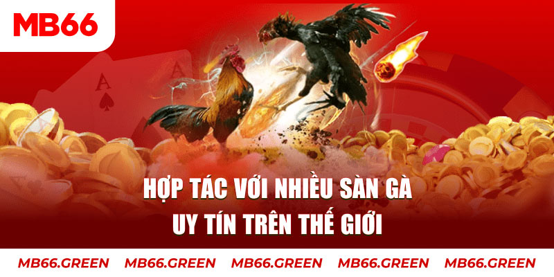 f8bet8 sòng bạc là gì