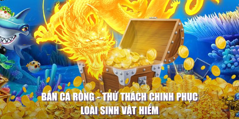 vn shbet casino Đăng ký