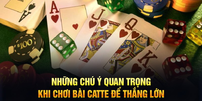 mwc casino Trực tuyến