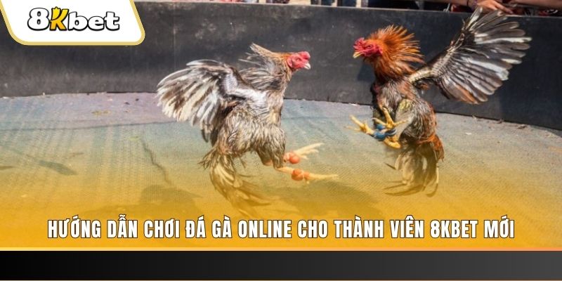sun17 sòng bạc TRỰC TUYẾN