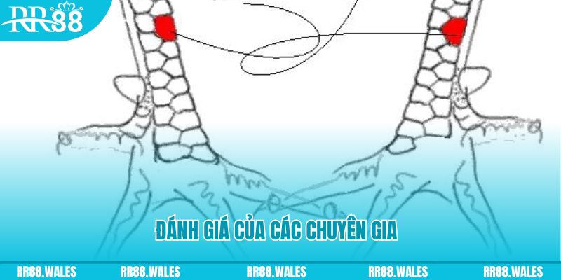 88betvui casino kèo nhà cái