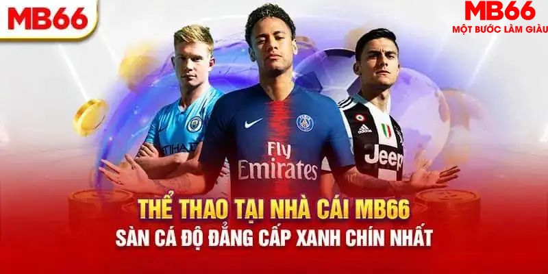 shbet80 casino Trực tuyến