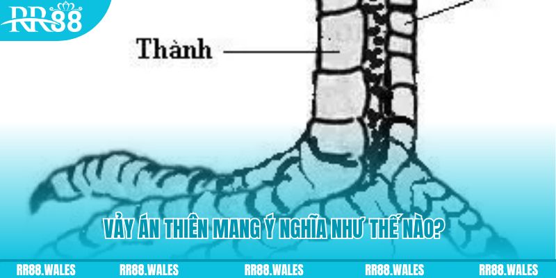 hi88 sòng bạc TỶ LỆ BÓNG ĐÁ