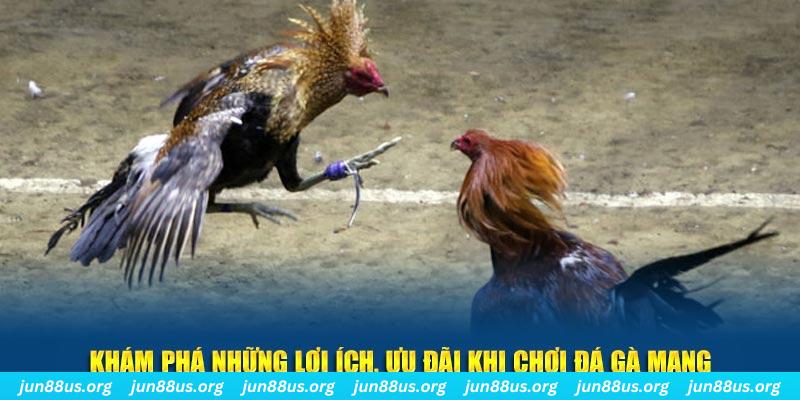 sun18 sòng bạc LÀ GÌ