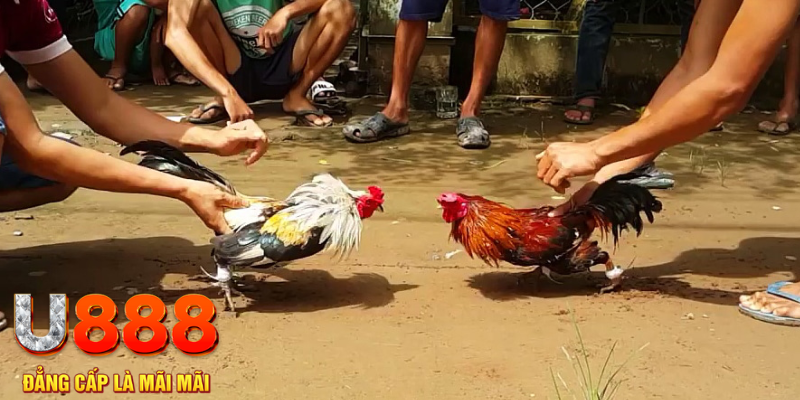 gg game casino ĐĂNG KÝ