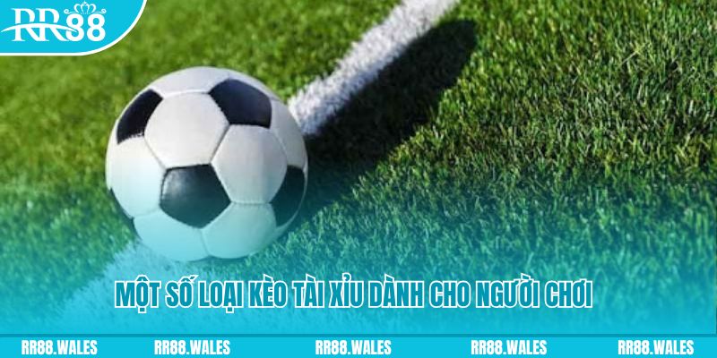 viva bong88 casino Đăng nhập