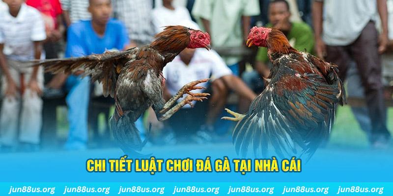 vin777 casino LÀ GÌ