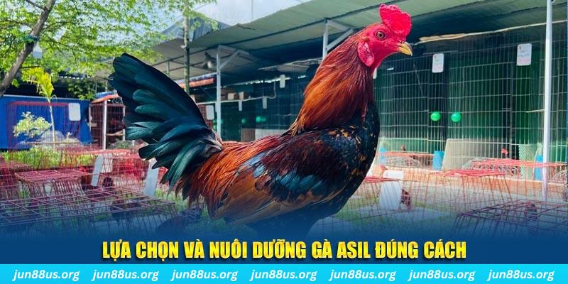 tha bet sòng bạc ĐĂNG NHẬP