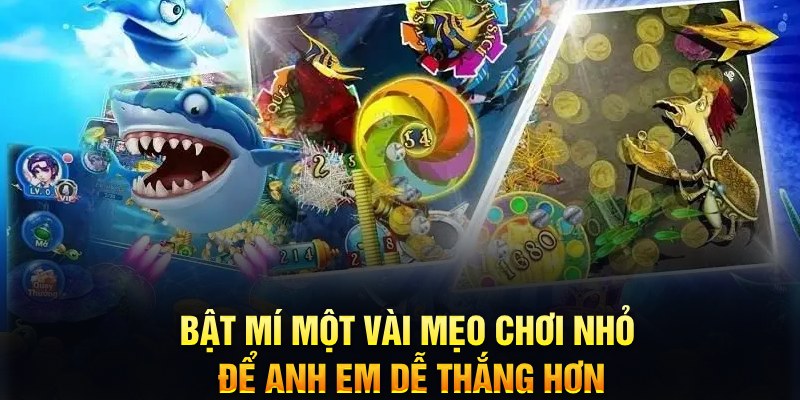 ww888 casino KÈO NHÀ CÁI