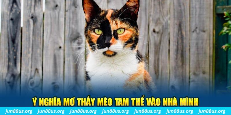 thienhabet sòng bạc là gì