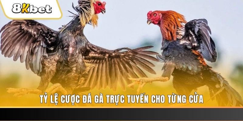 8bet casino TỶ LỆ BÓNG ĐÁ