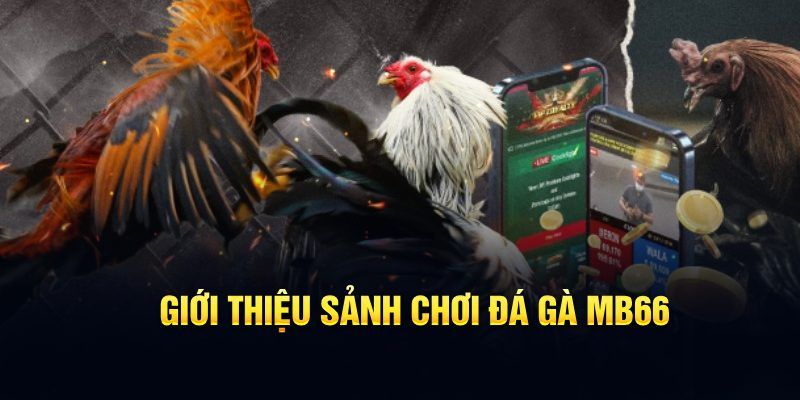 alo789 casino Sòng bạc