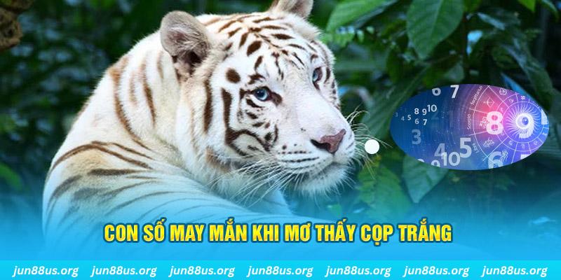 onsport casino Đăng ký